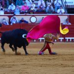 IMG_0072