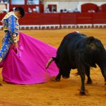 IMG_0218