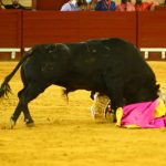 IMG_0546