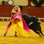 IMG_0559