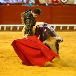 IMG_8311