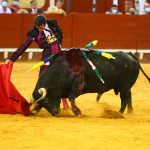 IMG_8448