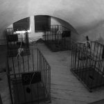 IMG_8564
