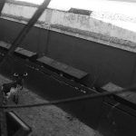 IMG_8598