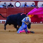 IMG_9960
